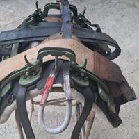 basto per asini cavalli e muli 