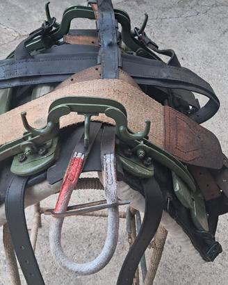 basto per asini cavalli e muli 