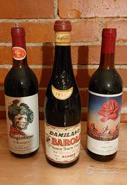 Bottiglie vino collezione