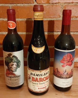 Bottiglie vino collezione