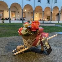 Carriola primaverile