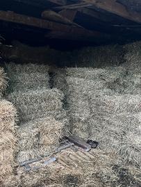 Fieno balle ballette