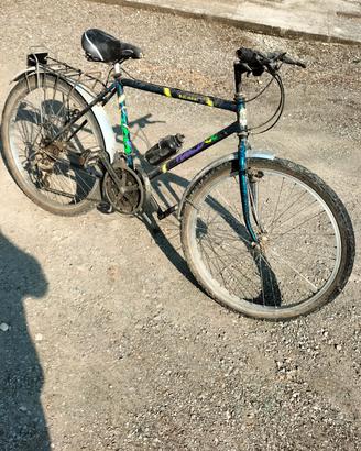 biciclette
