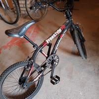 biciclette 