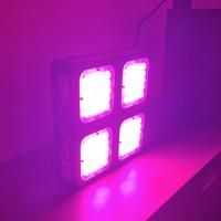 Lampada Cultlite 300W Growbox 