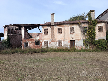 Immobile più terreno