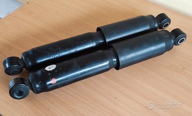 Ammortizzatori Post Fiat Ducato X290-2022