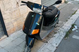 Zip piaggio