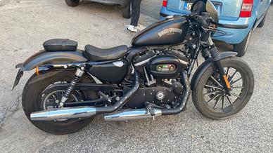 Harley-Davidson Sportster 883 SPECIAL edition