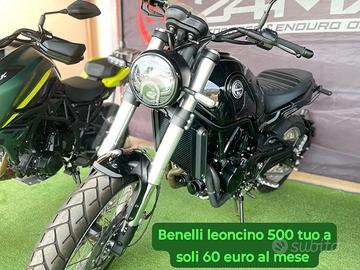 Benelli Leoncino 500 & 800 - 2026 INTERA GAMMA