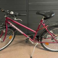 Bicicletta Leonard