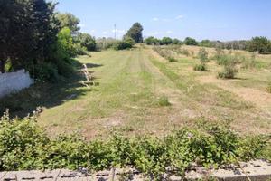 Terreno Agricolo Uggiano la Chiesa