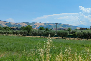 Terreno edificabile pagliare centro