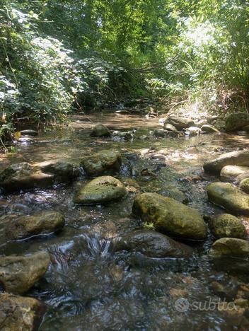 Terreno con due ruscelli nel parco della Majella