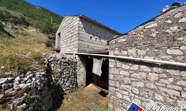 Stabile Palazzo - Vallecorsa