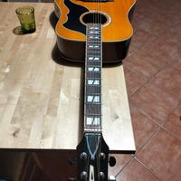 Chitarra acustica Eko Ranger 