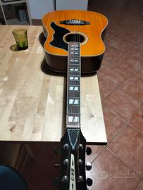 Chitarra acustica Eko Ranger 