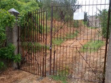 Terreno uliveto più casa