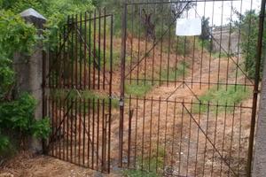 Terreno uliveto più casa