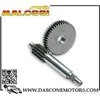 Ingranaggi primari HTQ z 13 / 44 MALAGUTI F12