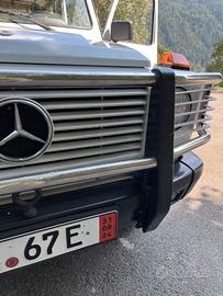BULL BAR - BRUSH GUARD Mercedes G – W463