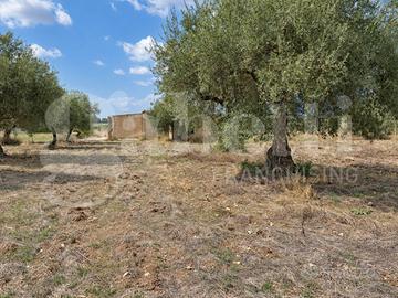 Terreno Agricolo Chiaramonte Gulfi