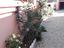 Immagine 23