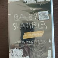 DVD Babyshambles