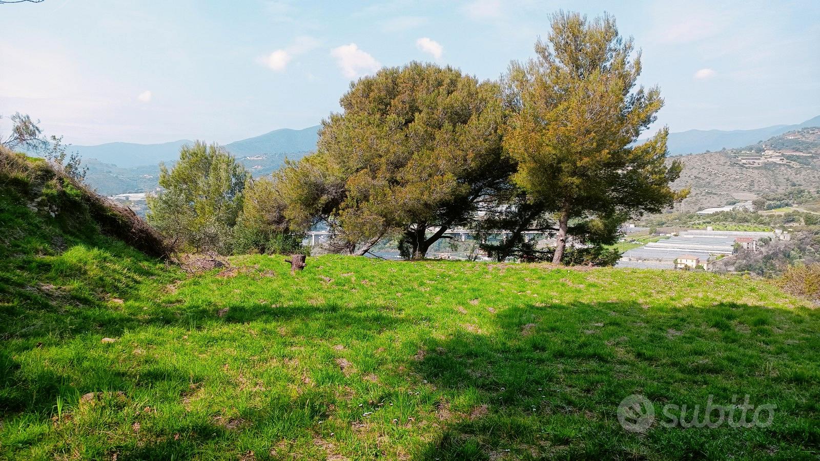Vendita terreno agricolo non edificabile - Vista 3