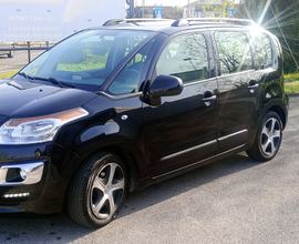 Citroen C3 Picasso adatta neo patentati