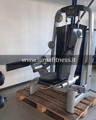 Calf rotary Technogym Selection Silver