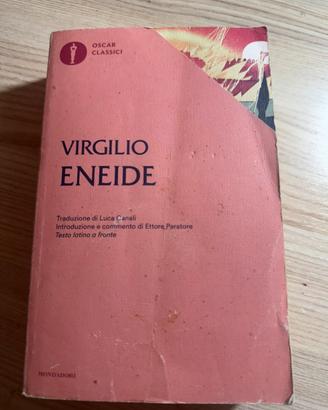 ENEIDE, VIRGILIO