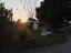 Immagine 16