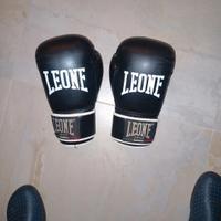 Guantoni da boxe