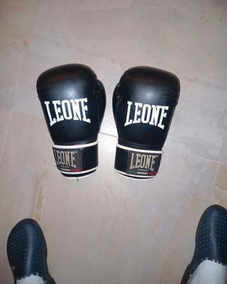 Guantoni da boxe