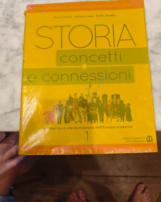 STORIA CONCETTI E CONNESSIONI 1 