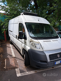 Fiat Ducato frigo