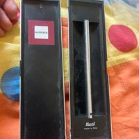Penna Stilografica Aurora Hastil Ecosteel