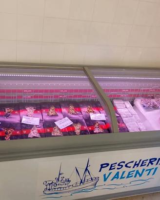 Congelatore Espositore 