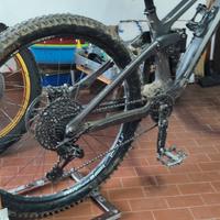 Transition Sentinel carbonio M