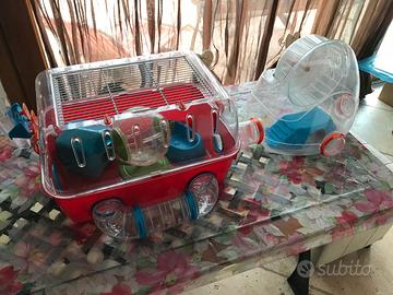 Gabbia ferplast combi 2