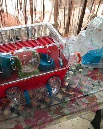 Gabbia ferplast combi 2