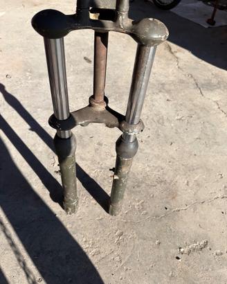Forcella Testi