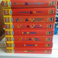 videocassette stallio e ollio