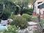 Immagine 10