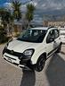 fiat-panda-1-0-firefly-s-s-hybrid-city-cross