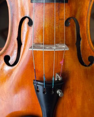 Violino Stainer 1920