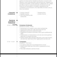 Cameriere, barista , lavapiatti, autista , pulizie