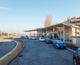Romanina Petrocelli bilivello adatto investimento