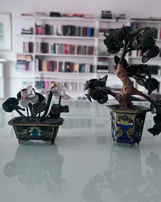 Piantine decorative cinesi